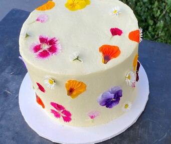 Lang's Little Bakery - Cake Decorating