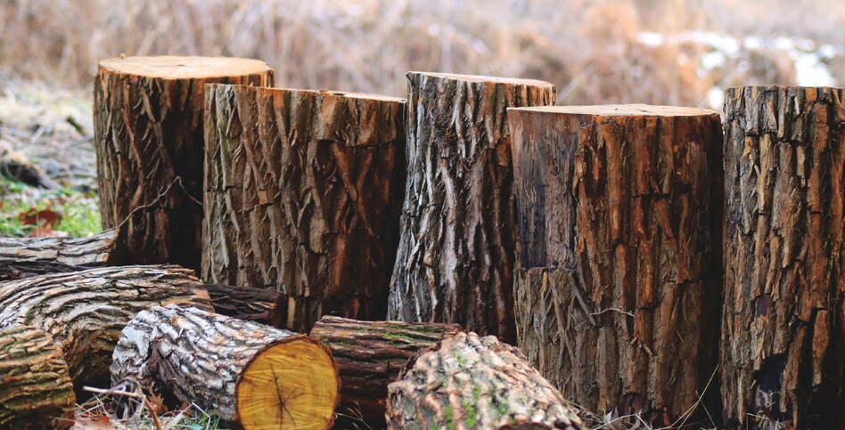 WHAT OUR CLIENTS SAY - Read our latest testimonials...