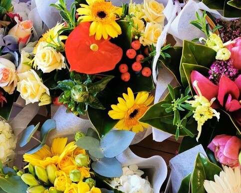 Vibrant Mix | Colour Burst | Sunshine Blooms