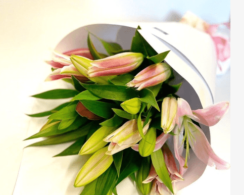 Simply Delight – Beautiful Oriental Lily