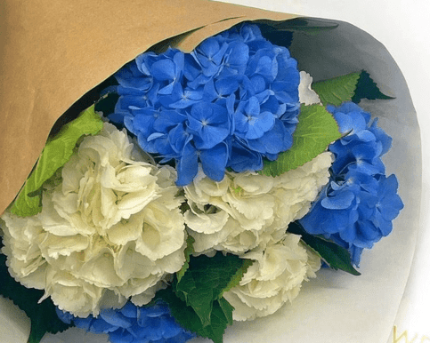 Simply wrapped in craft paper with no greenery, perfect to pop them into your faviorite vase