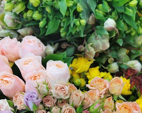 Petite Bouquet | Sweet Bundle | Little Blooms