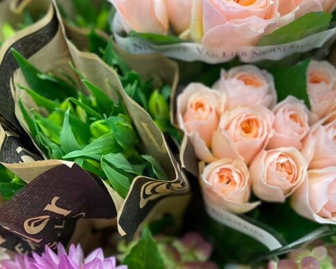 Birthday flowers delivered fresh in Orewa