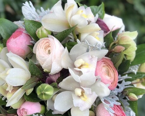 Soft Tones | Gentle Hues | Dreamy Shades