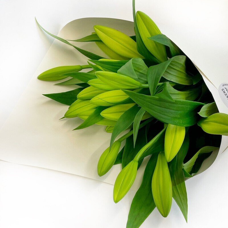 Orewa Flowers Delivery Flowers by Joanne Local Florists