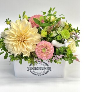 Designer Arrangement