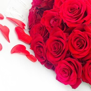 Premium NZ Red Roses