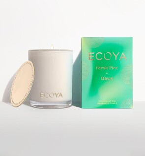 Candle & Home Fragrance