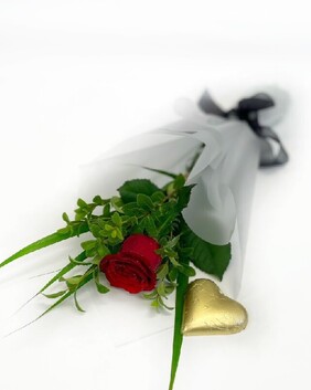 Valentine&#039;s Day Single Red Rose