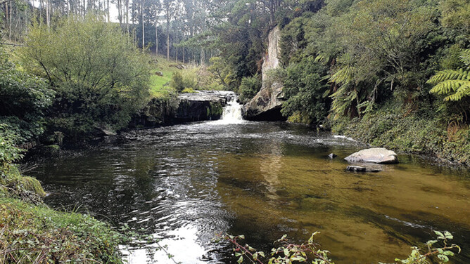 The Pokaiwhenua Stream has many photo opportunities.