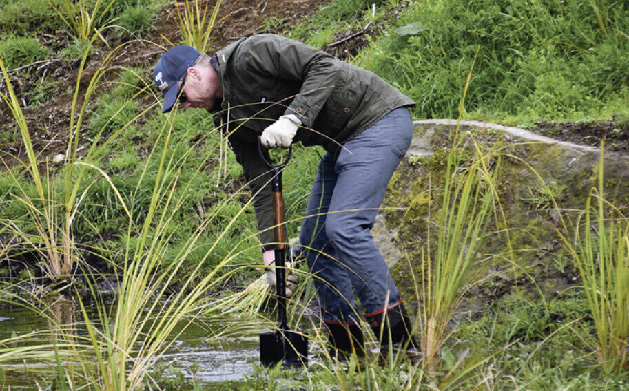 Pokaiwhenua Catchment Group planting day | Pokaiwhenua Catchment Group