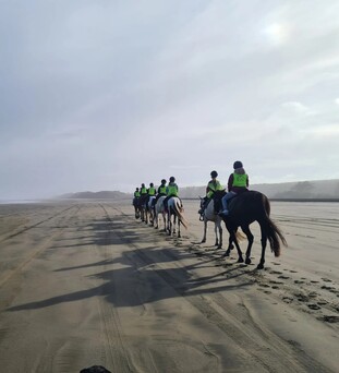 Gallery | Muriwai Beach Horse Trek