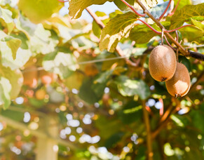 Unlocking The Power Of People Photography For Business Websites