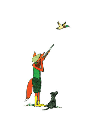 Shooting Fox