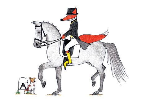 Dressage Fox
