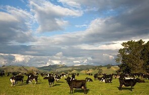 On Site Assessments - Onsite assessments of health and safety in the workplace, giving feedback and advice on how to improve your existing policies and procedures.