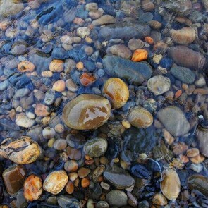 General Hire - $40 per 2 hours (for up to 8 hours) $160 per day for classes, meetings, hui, workshops, trainings, events, etc. * Multi-day bookings are charged as a full calendar day irrespective of how much of the day is used.