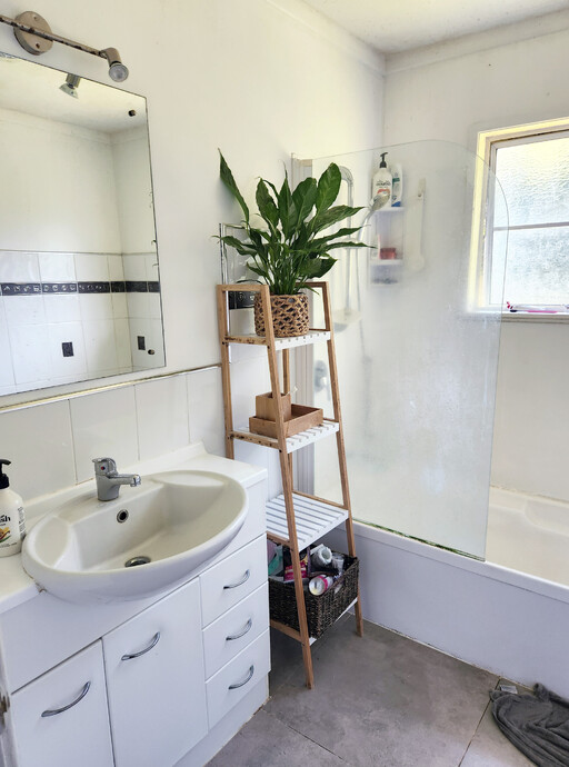 before bathroom renovation