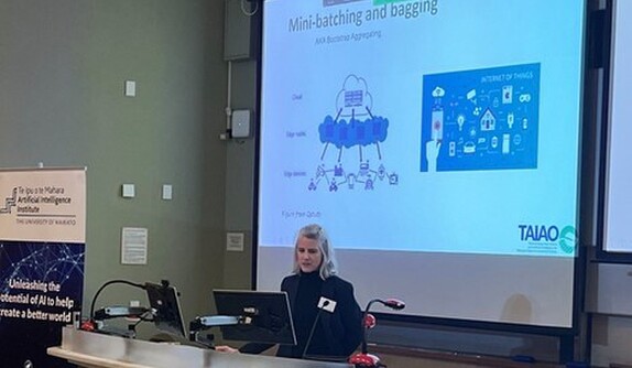 Prof. Karin Bryan presents at the summit