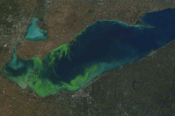 Algal Blooms Prediction
