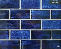 Blue Coral