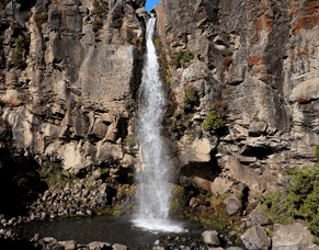 Exploring Turangi&rsquo;s Hidden Gems: Waterfalls, Wildlife, and Scenic Spots