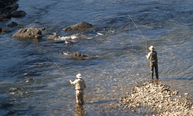 Fly Fishing in Turangi