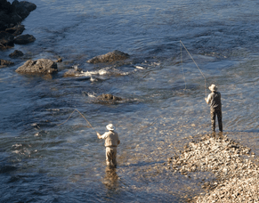 The Ultimate Fly Fishing Guide in Turangi