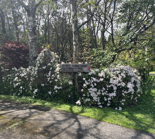 Turangi BnB - Fishing lodge and adventure around Turangi