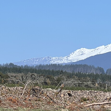 Turangi BnB close to Whakapapa ski mountain