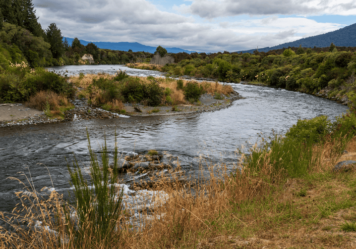Turangi BnB - 10min walk to Tongariro River