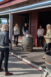 CRUISE SHIP EXCURSIONS