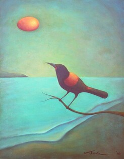 Tieke the Water Bird