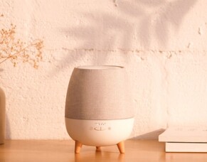 How to choose the best essential oil diffuser in NZ 2024