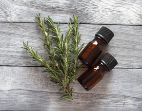 Discover the Versatile Uses of Rosemary Oil in NZ for Your Health and Home