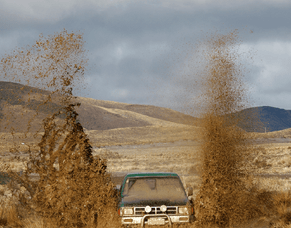 What Is a Throttle Controller &amp; Do You Really Need One?