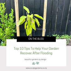 Top 10 Tips To Help Your Garden Recover After Flooding