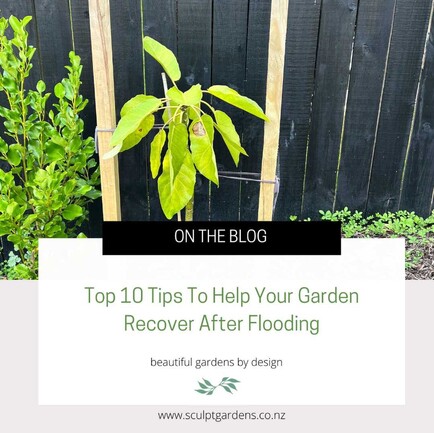 Top 10 Tips To Help Your Garden Recover After Flooding