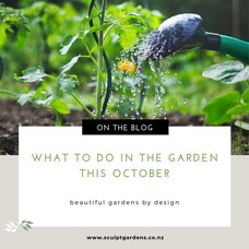 What To Do In The Garden This October