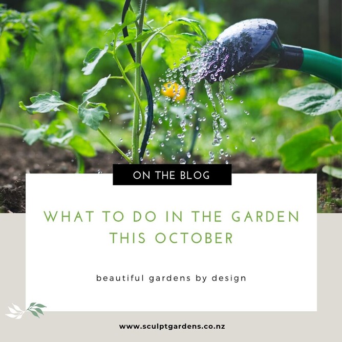 what to do in the garden this october