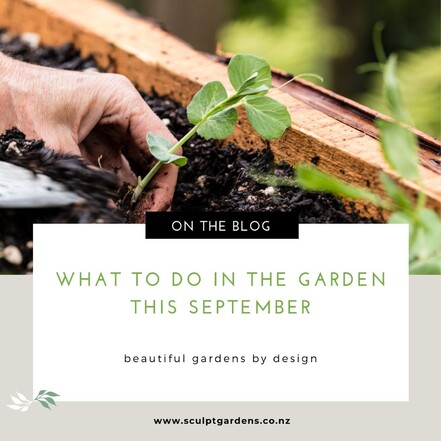 what to do in the garden this september