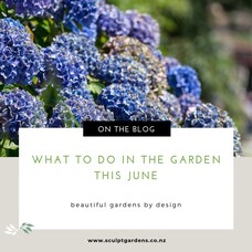 What To Do In The Garden This June