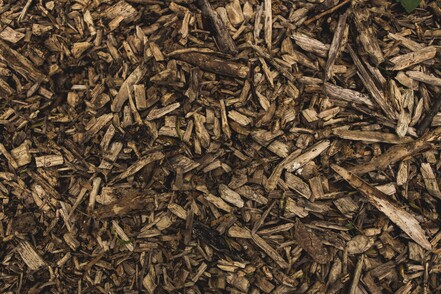 bark mulch to suppress weeds