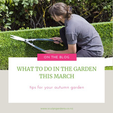 What To Do In The Garden This March