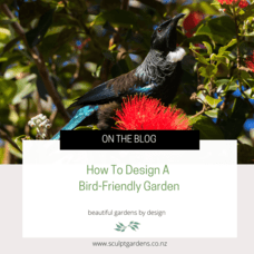 How To Design A Bird-Friendly Garden