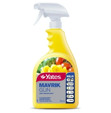 mavrik insect spray for thrip lilly pilly