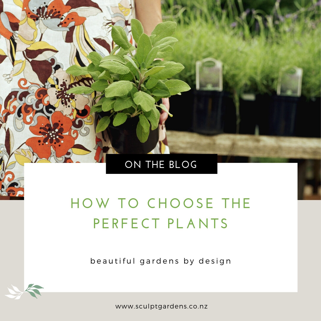 How To Choose The Perfect Plants