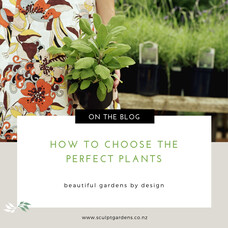 How To Choose The Perfect Plants