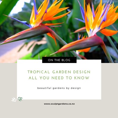 tropical garden design