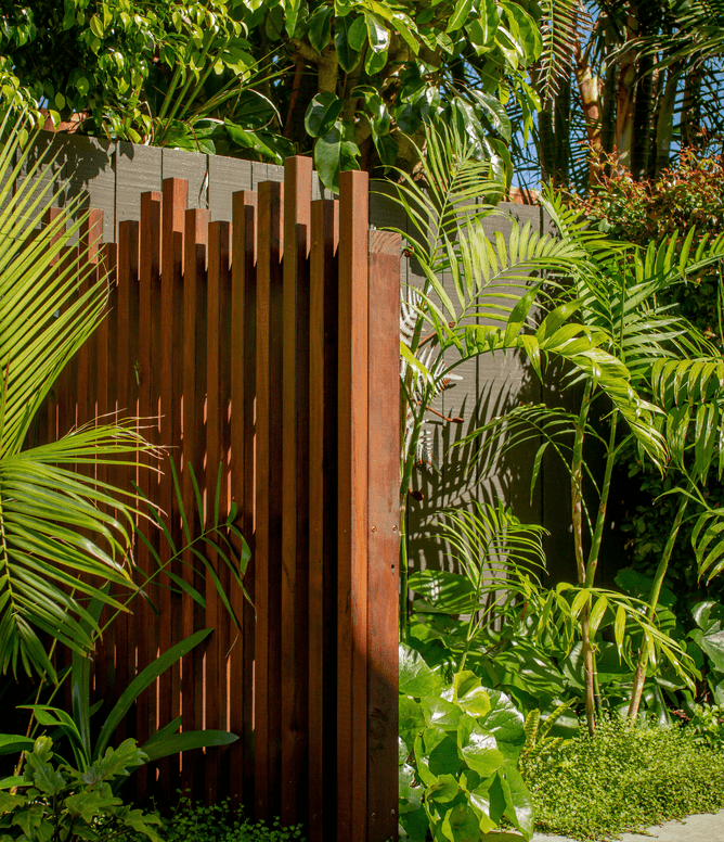 tropical garden plant placement